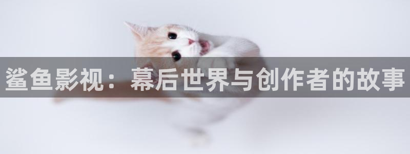 红叶电影今日影讯