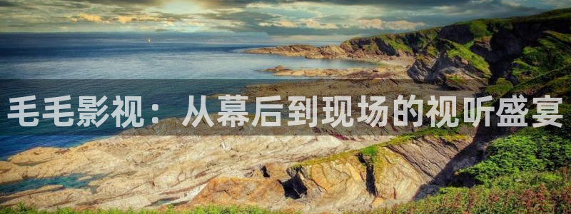 红叶影院app