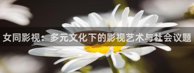红叶影院下载