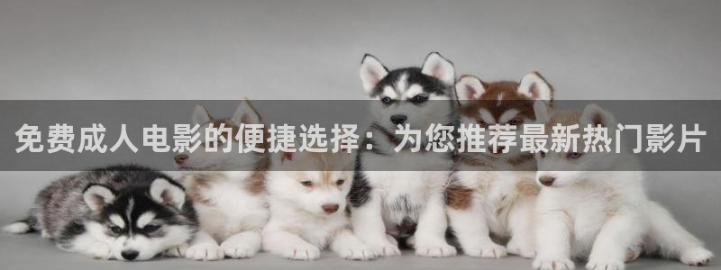 红叶影院免费观看电视剧：免费成人电影的便捷选择：为您推荐最新热门影片