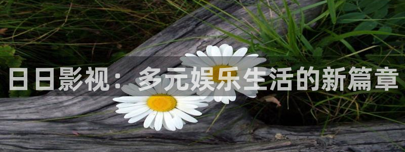 红叶影视官网：日日影视：多元娱乐生活的新篇章