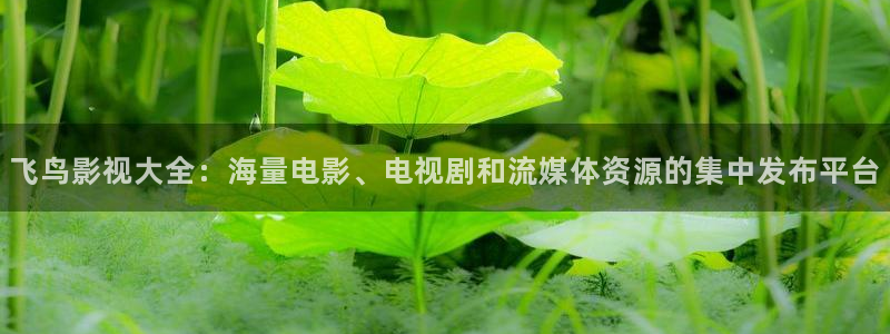 红叶影城今日影讯：飞鸟影视大全：海量电影、电视剧和流媒体资源的集中发布平台