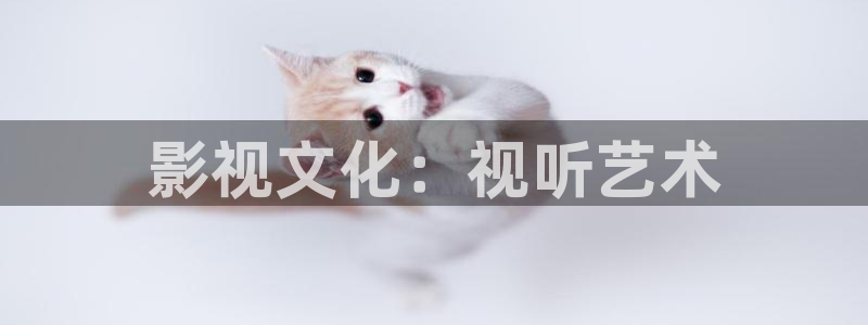 红叶影视官网：影视文化：视听艺术
