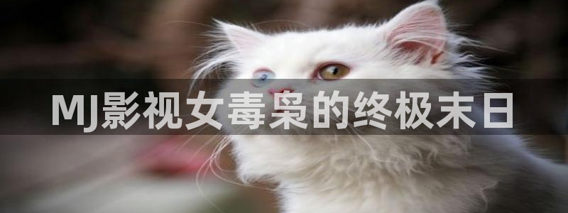 红叶影视app官方下载：MJ影视女毒枭的终极末日
