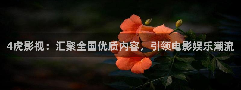 红叶影院app